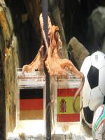 Fortune Teller…The Championship, 2011-12