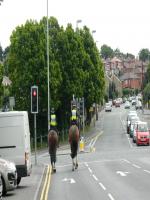 Mounted Police spotted at ER on Saturday....for a Jehovahs Witness Convention!