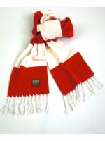 The Opening Game Of The Season Is ..........